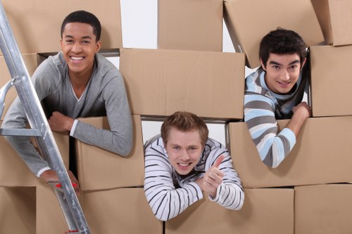 Packing and protective wrapping for household items